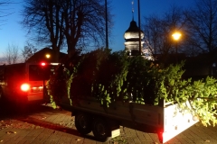 Weihnachtsbaum Kichvorplatz 2018-11-23 (1)