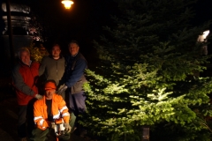 Weihnachtsbaum Kichvorplatz 2018-11-23 (2)