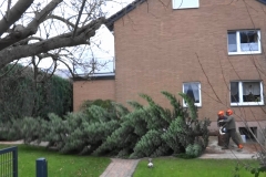 Weihnachnachtsbaum Kirche St. Vinzenzius 2018-12-15 (03)