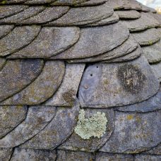 defekte Schieferplatte