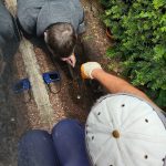 Frank Giesen sieht über das Display in die Gruft und macht Fotos. Die Ausleuchtung besorgt Peter Brüggen (Kappe) mit einem LED-Leuchtband, das am Stromkabel durch die Öffnung geführt wird. In der Rückwand des Grabsteins spiegelt sich die Kamera